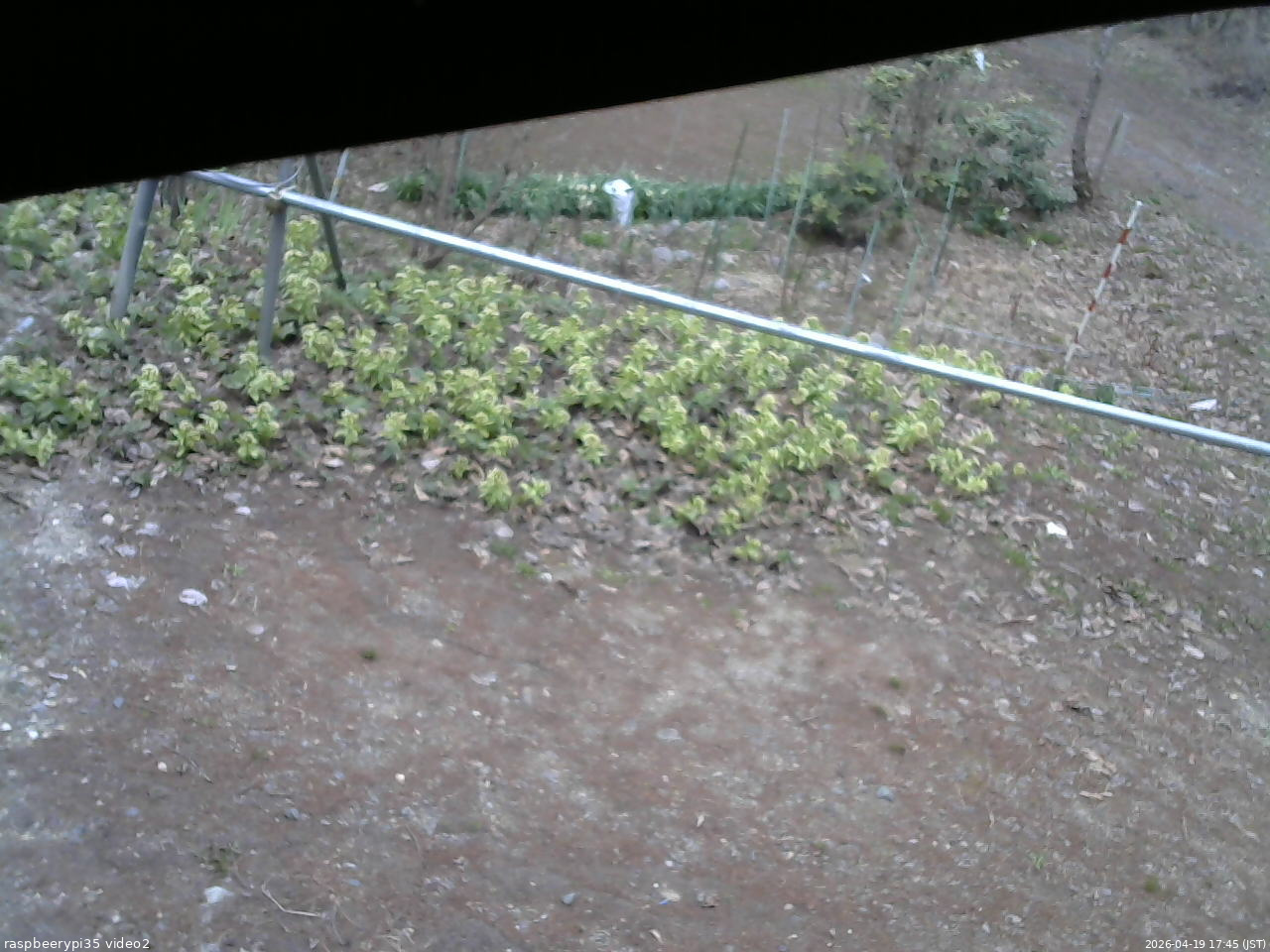 長野県菅平高原 ゆたか山荘 駐車場 2026/04/19 17:45