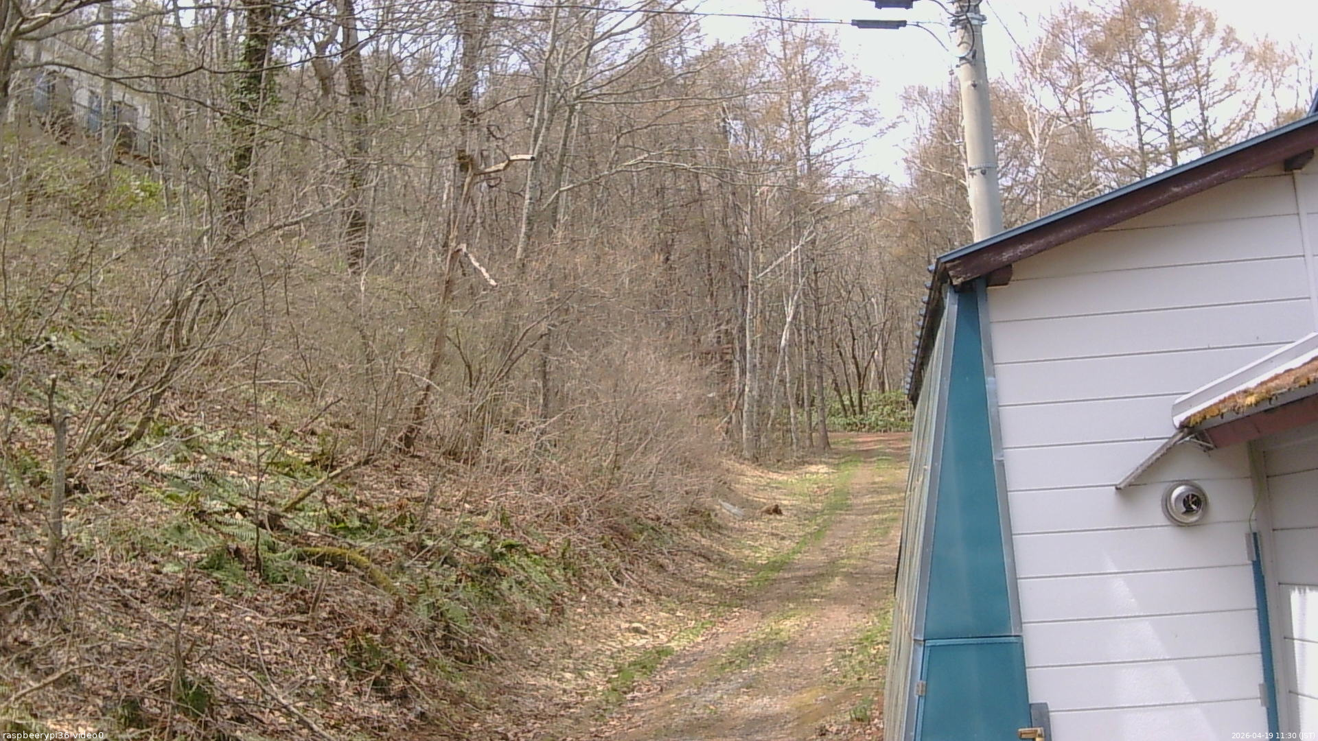 長野県菅平高原 ゆたか山荘 ゆたか山荘 2026/04/19 11:30