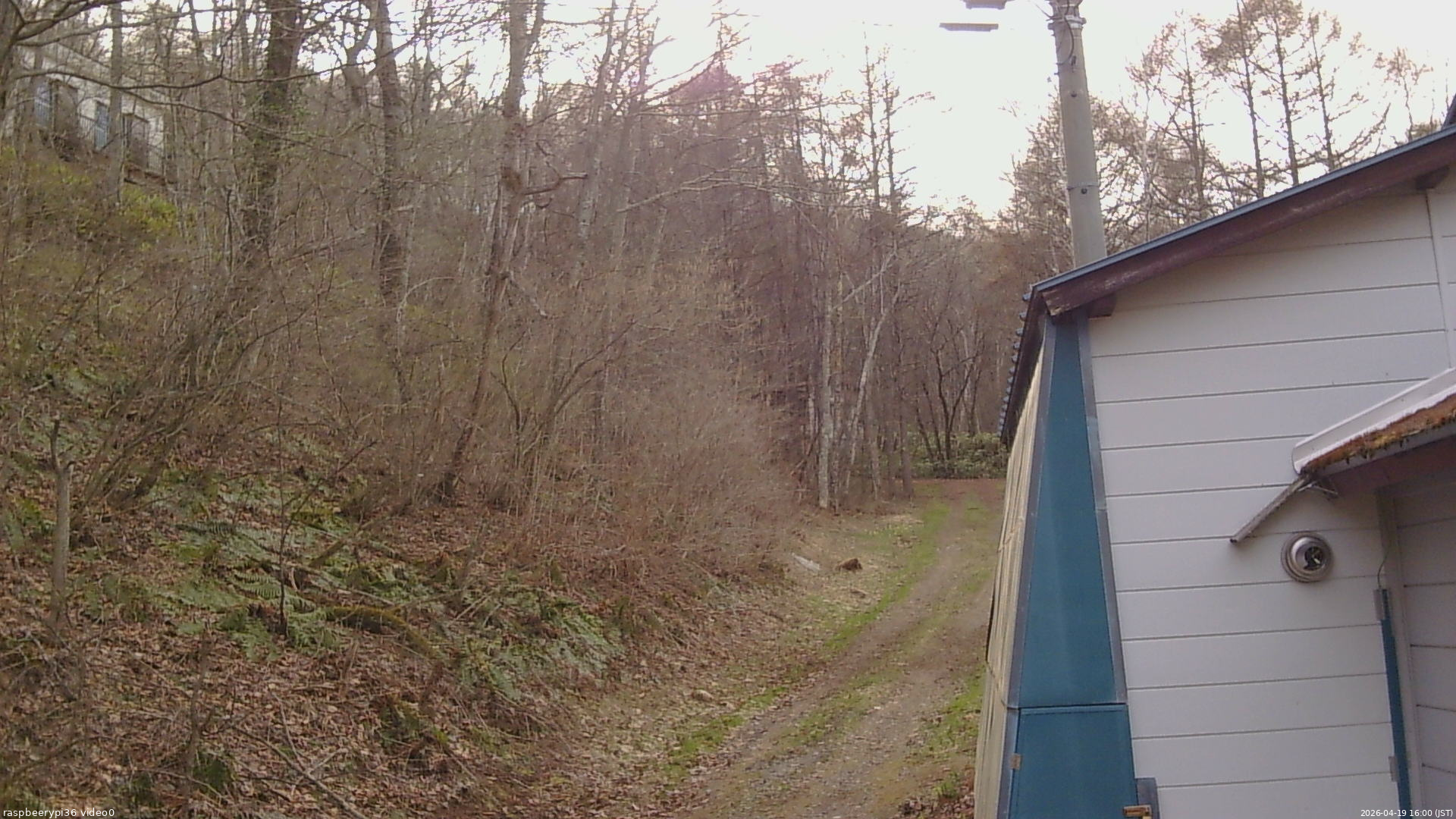 長野県菅平高原 ゆたか山荘 ゆたか山荘 2026/04/19 16:00