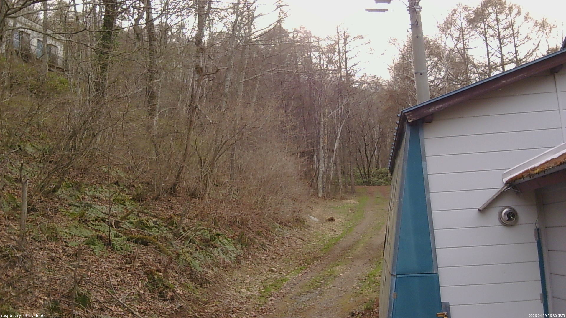 長野県菅平高原 ゆたか山荘 ゆたか山荘 2026/04/19 16:30