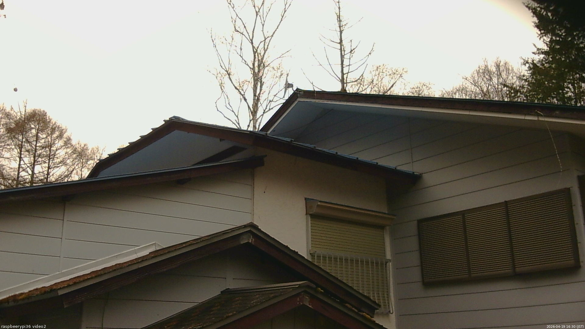 長野県菅平高原 ゆたか山荘 駐車場奥 2026/04/19 16:30