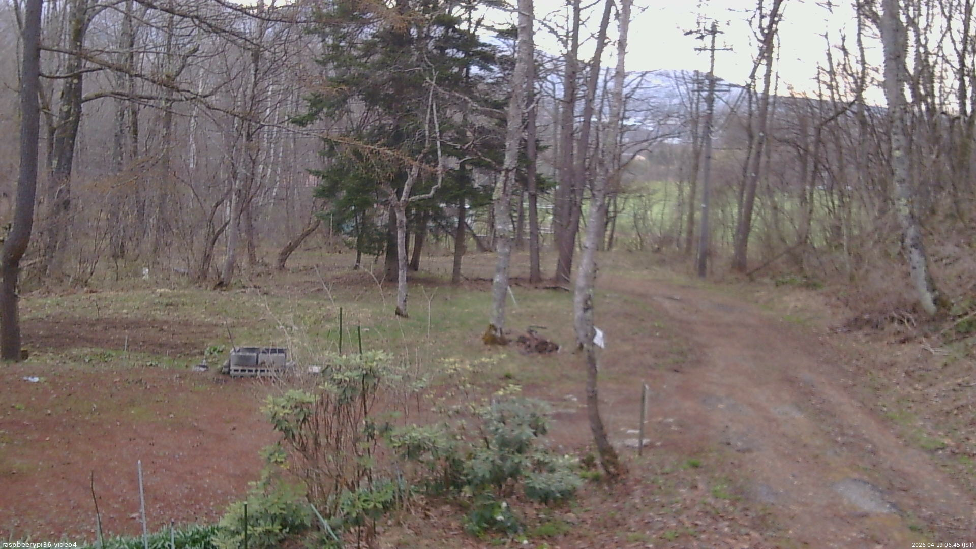 長野県菅平高原 ゆたか山荘 坂上 2026/04/19 06:45