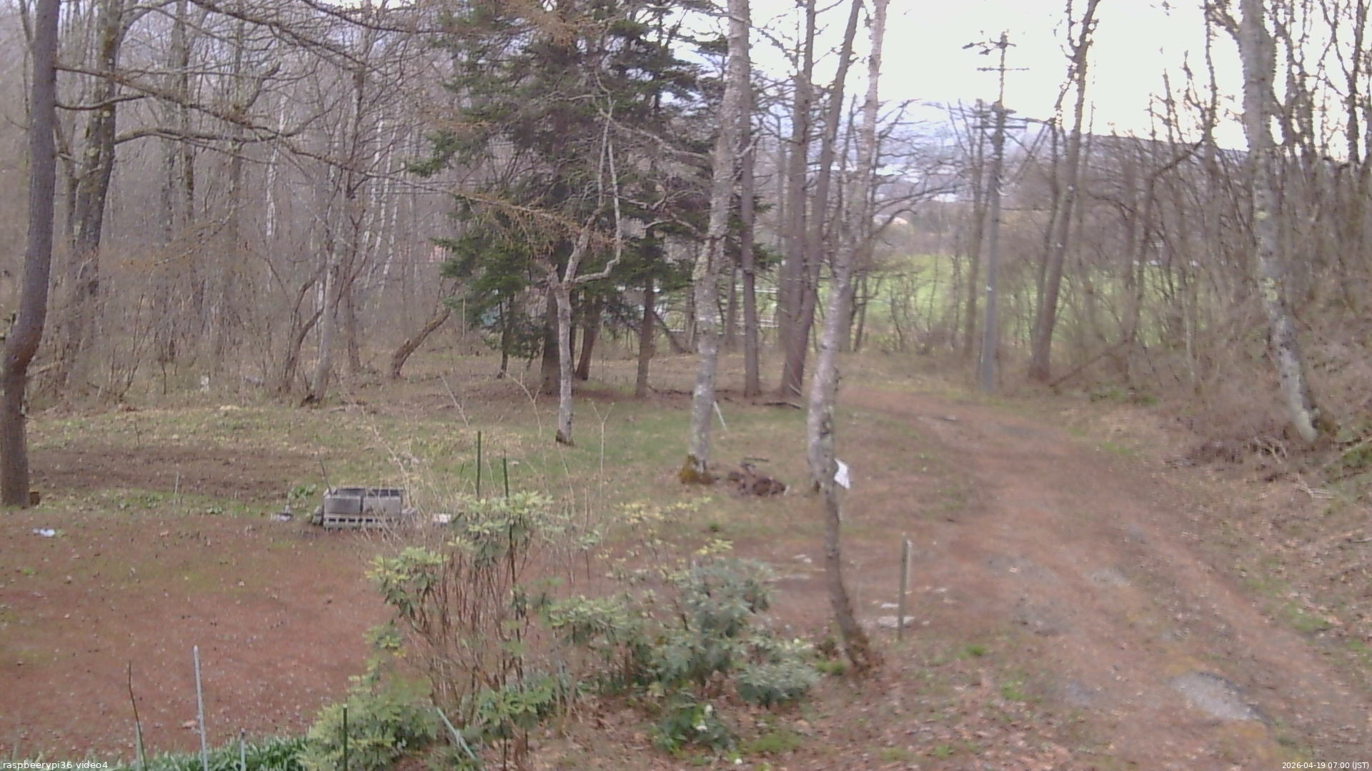 長野県菅平高原 ゆたか山荘 坂上 2026/04/19 07:00