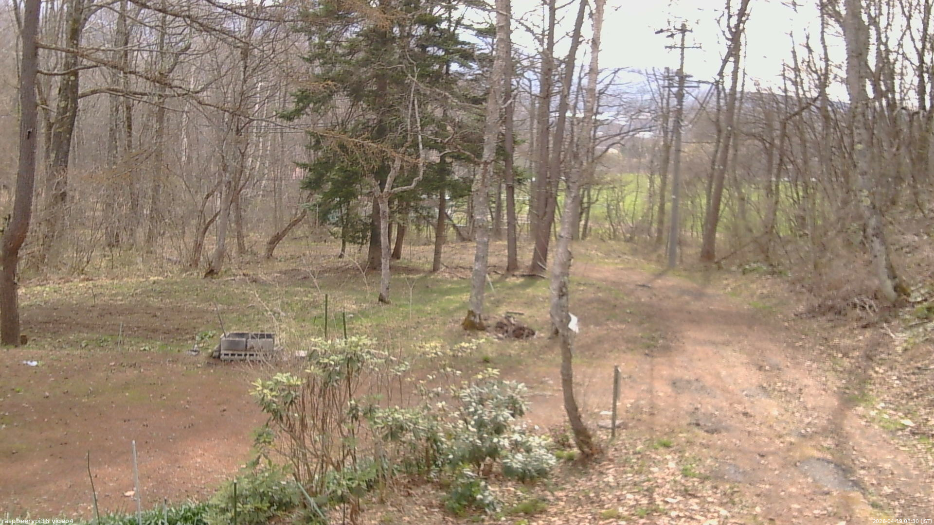 長野県菅平高原 ゆたか山荘 坂上 2026/04/19 08:30