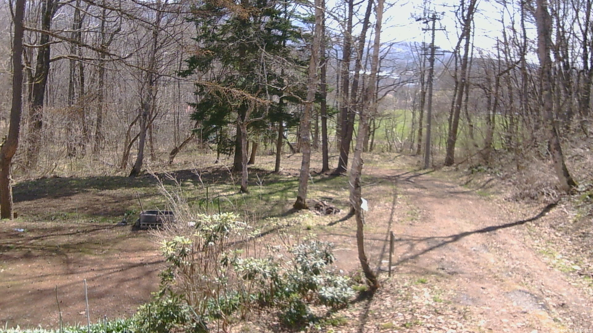 長野県菅平高原 ゆたか山荘 坂上 2026/04/19 09:30