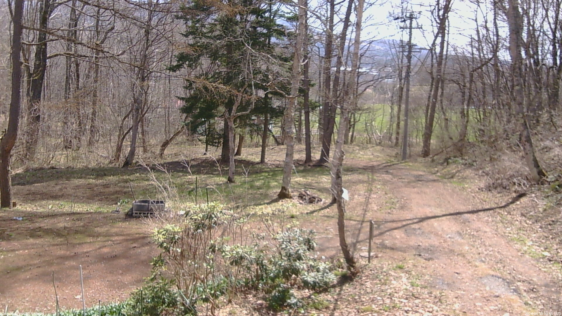 長野県菅平高原 ゆたか山荘 坂上 2026/04/19 09:45