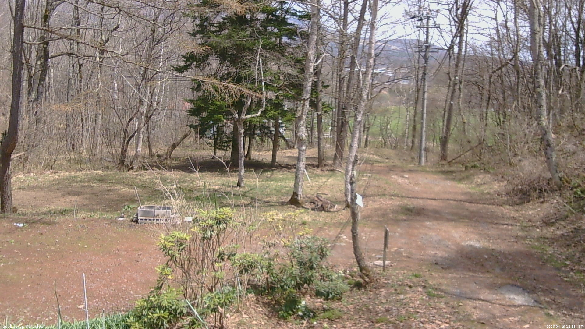 長野県菅平高原 ゆたか山荘 坂上 2026/04/19 12:15
