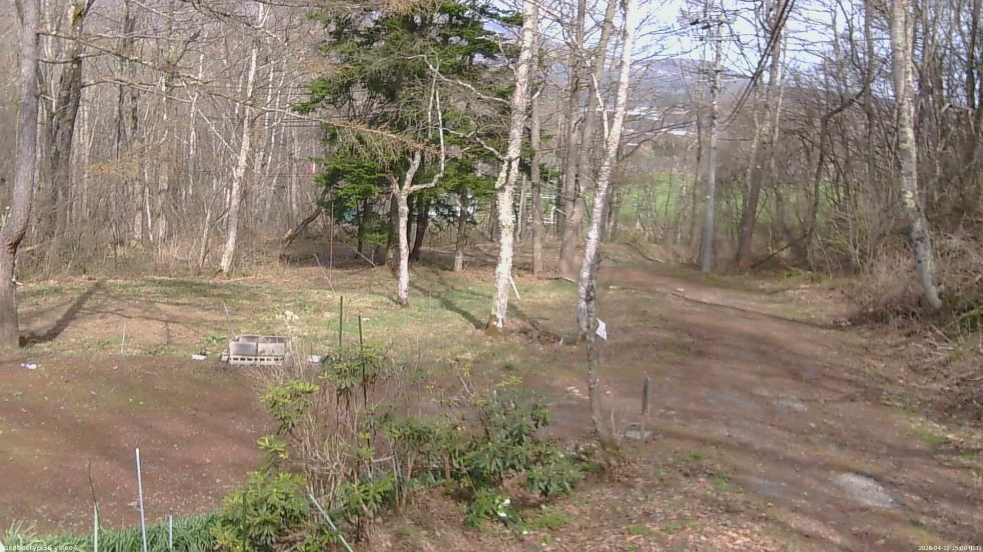 長野県菅平高原 ゆたか山荘 坂上 2026/04/19 15:00