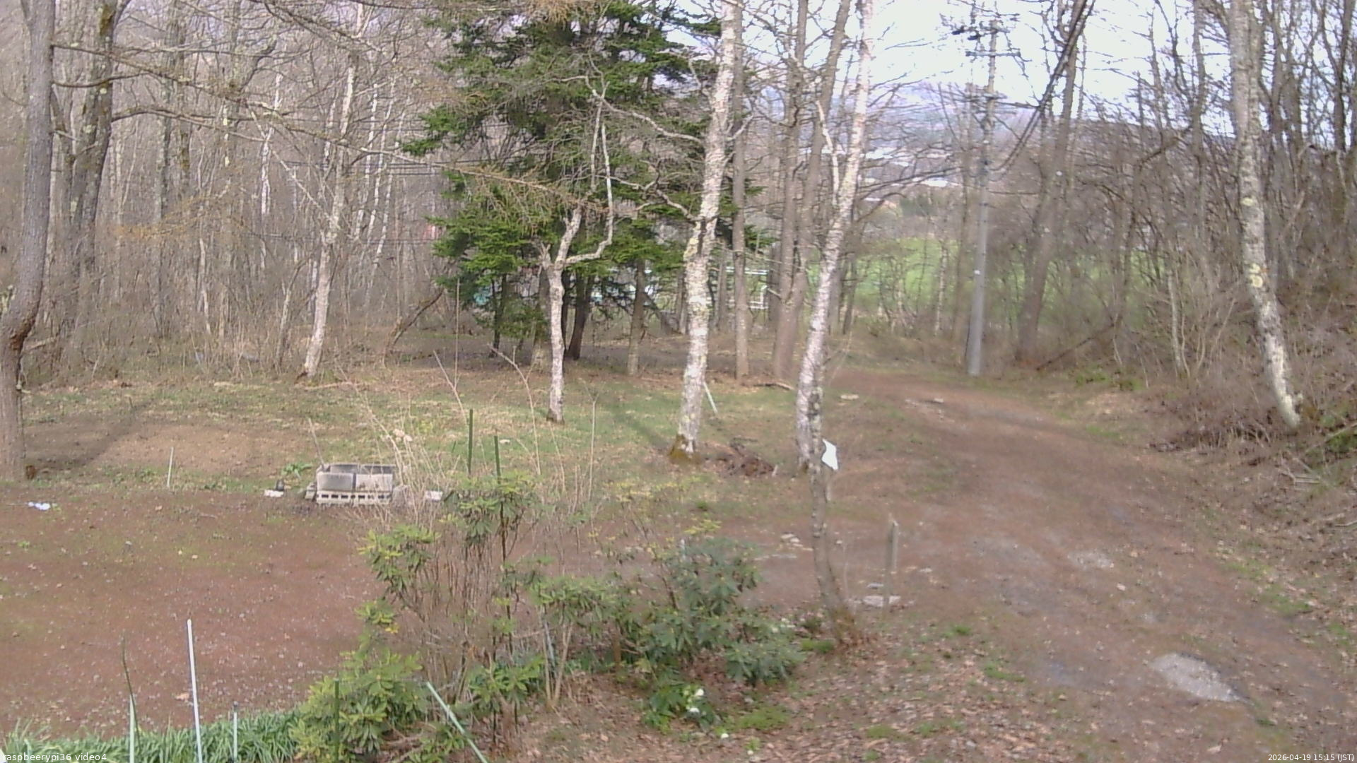 長野県菅平高原 ゆたか山荘 坂上 2026/04/19 15:15