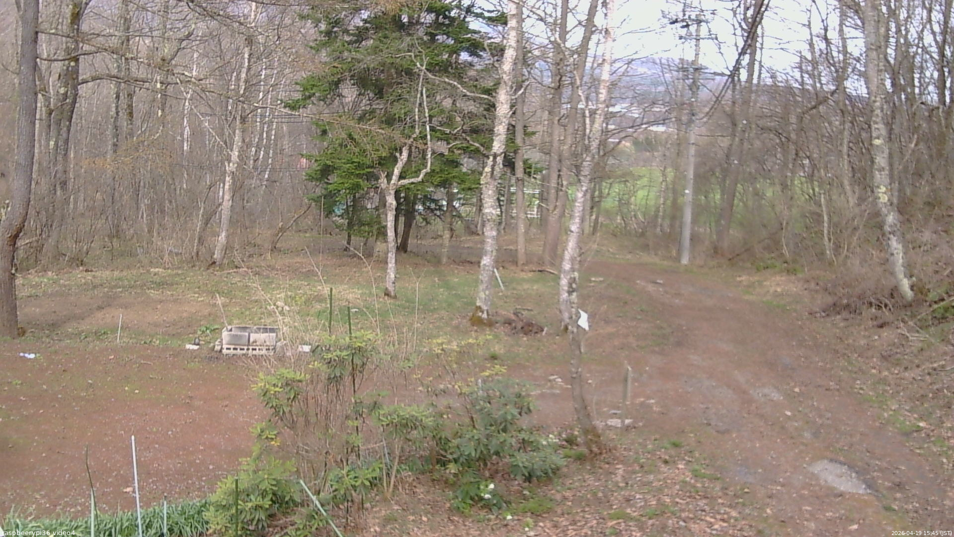 長野県菅平高原 ゆたか山荘 坂上 2026/04/19 15:45