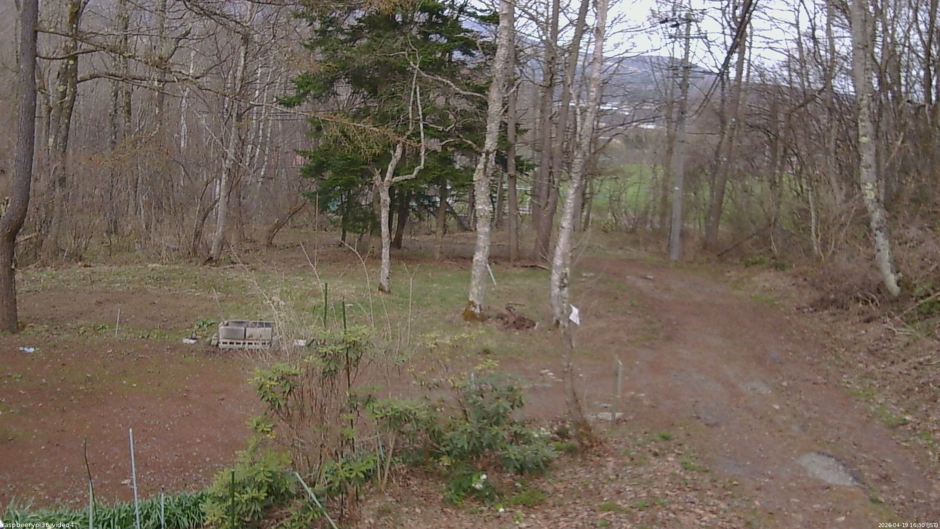 長野県菅平高原 ゆたか山荘 坂上 2026/04/19 16:30