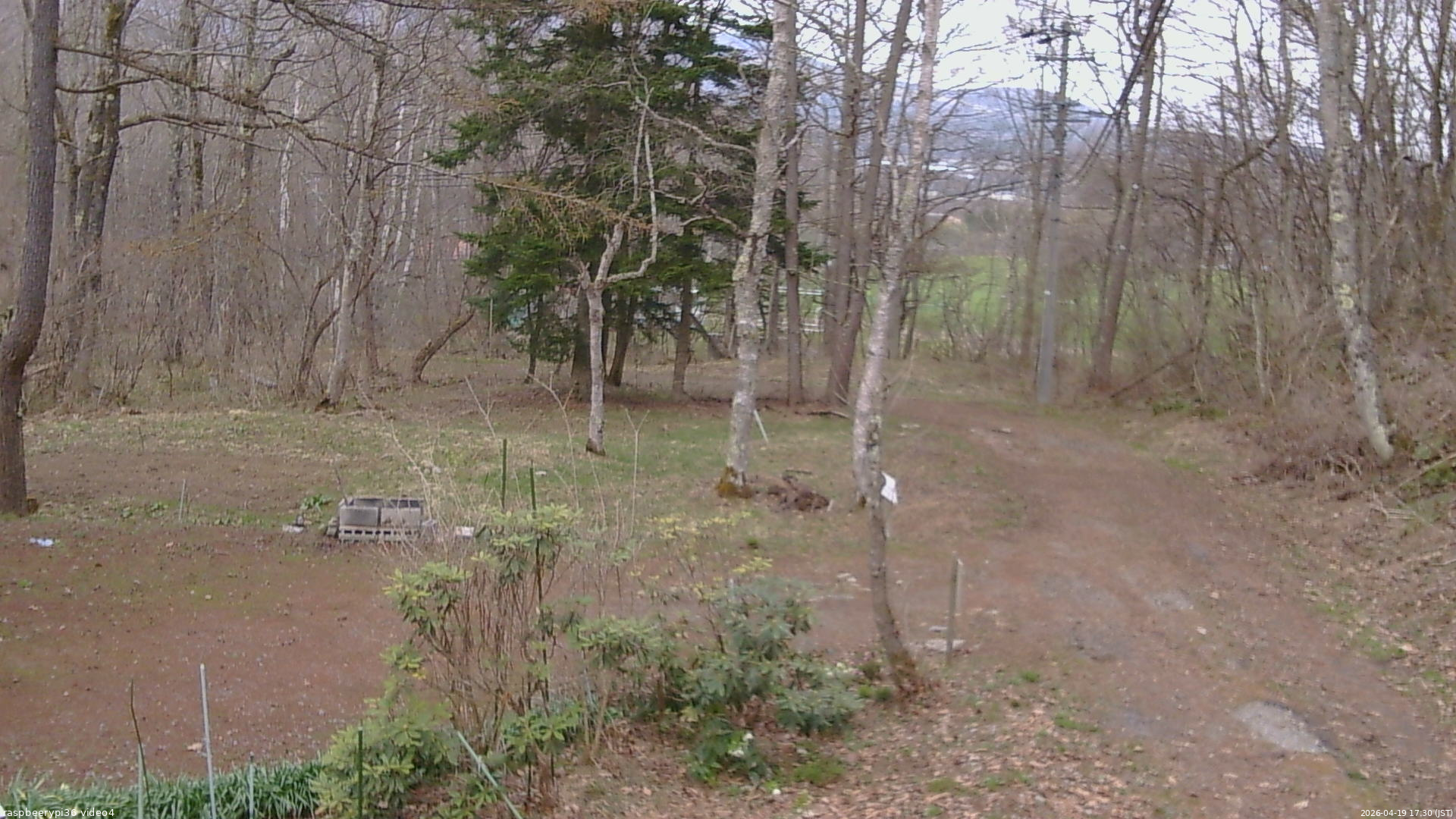 長野県菅平高原 ゆたか山荘 坂上 2026/04/19 17:30