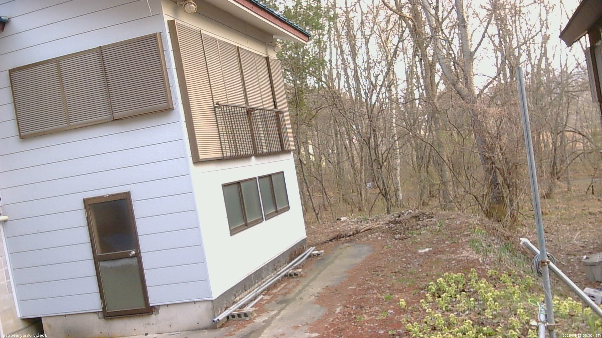 長野県菅平高原 ゆたか山荘 坂下 2026/04/19 05:30