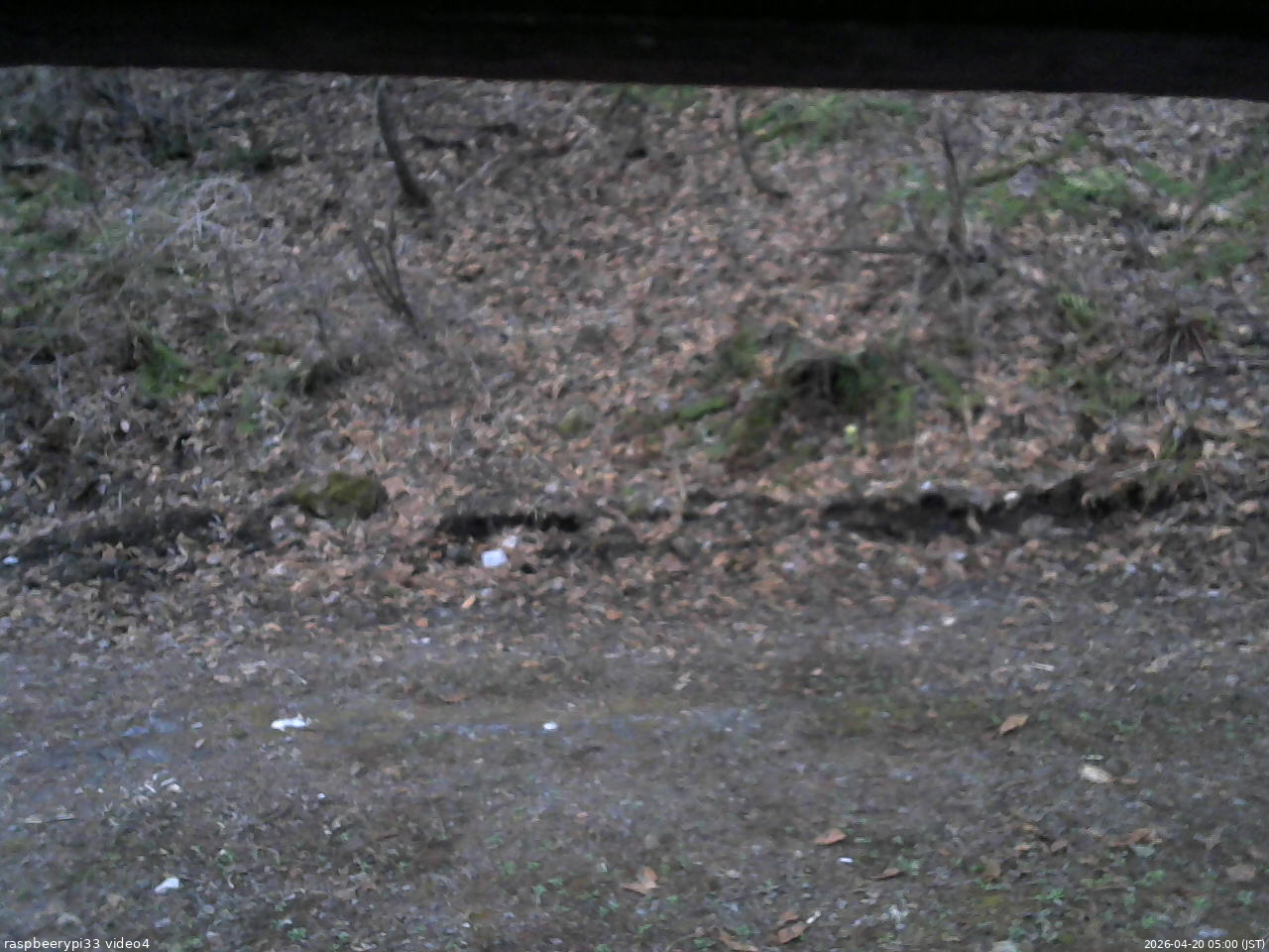 長野県菅平高原 ゆたか山荘 東側(坂下) 2026/04/20 05:00