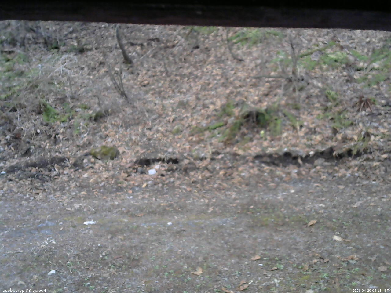 長野県菅平高原 ゆたか山荘 東側(坂下) 2026/04/20 05:15