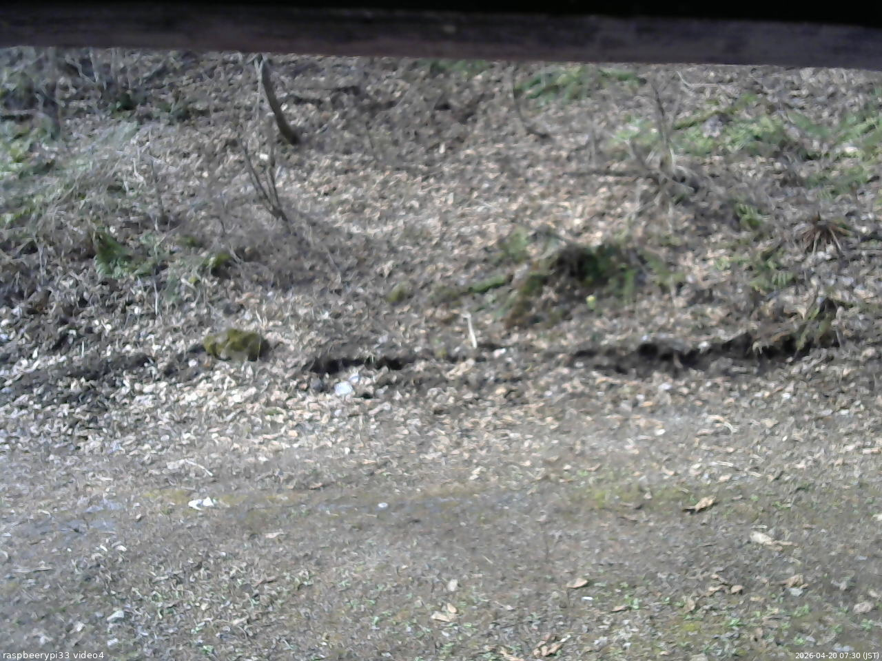 長野県菅平高原 ゆたか山荘 東側(坂下) 2026/04/20 07:30