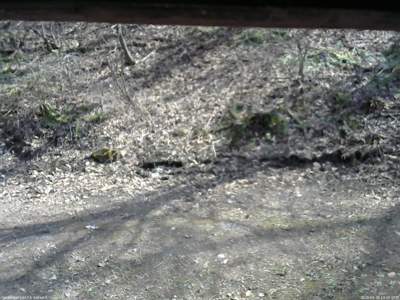 長野県菅平高原 ゆたか山荘 東側(坂下) 2026/04/20 14:15
