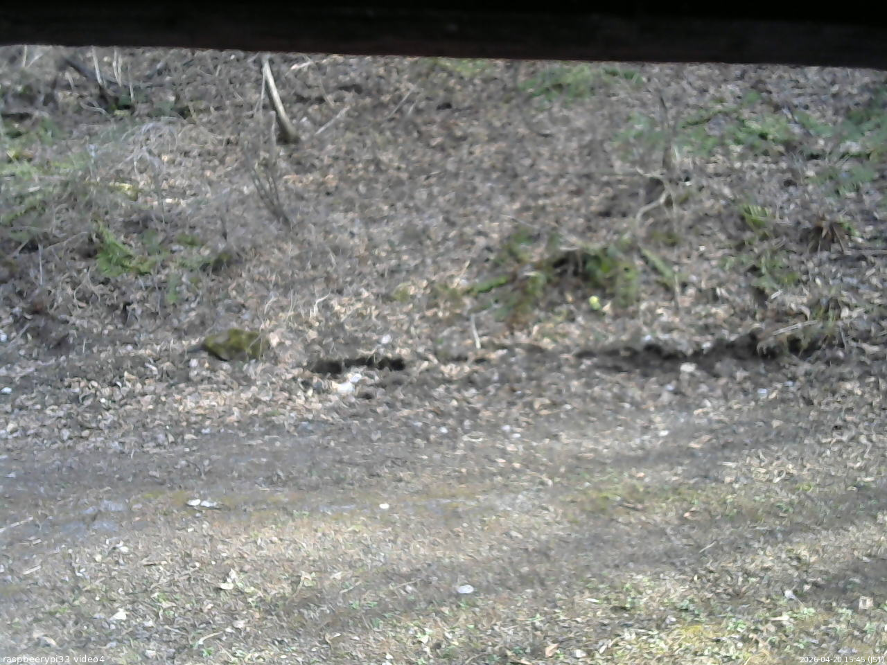 長野県菅平高原 ゆたか山荘 東側(坂下) 2026/04/20 15:45