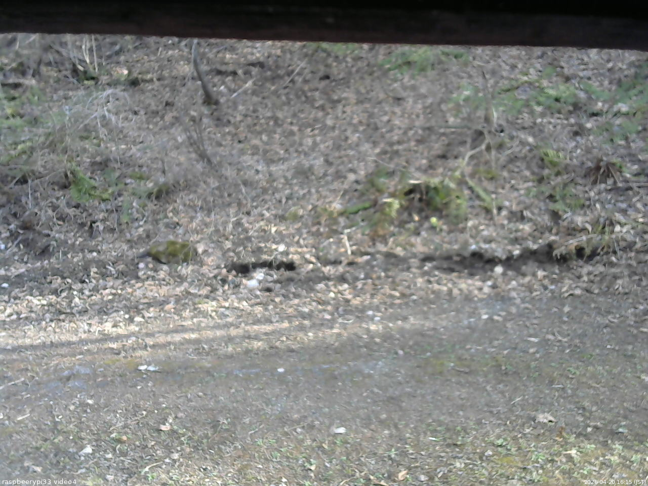 長野県菅平高原 ゆたか山荘 東側(坂下) 2026/04/20 16:15