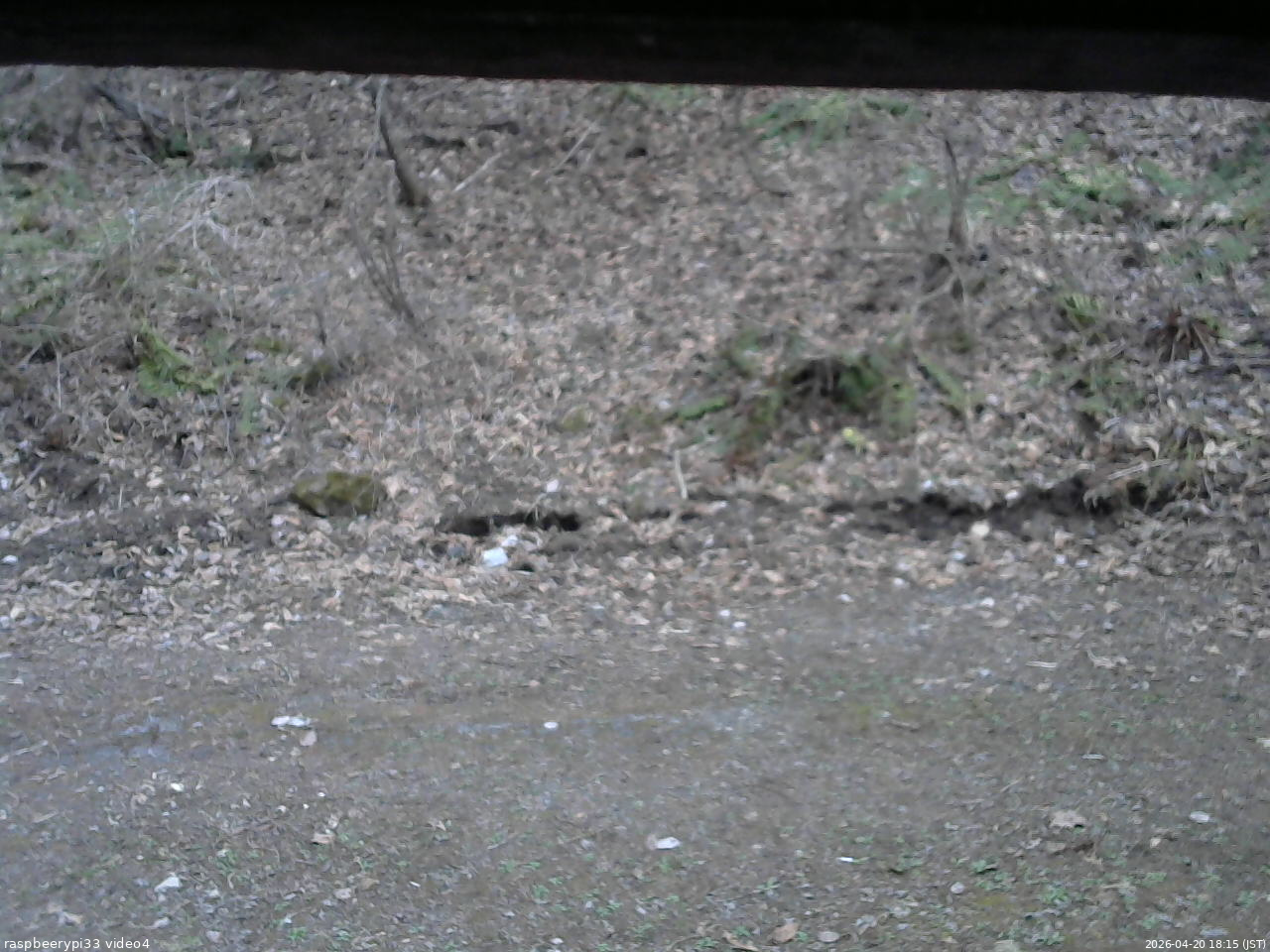 長野県菅平高原 ゆたか山荘 東側(坂下) 2026/04/20 18:15
