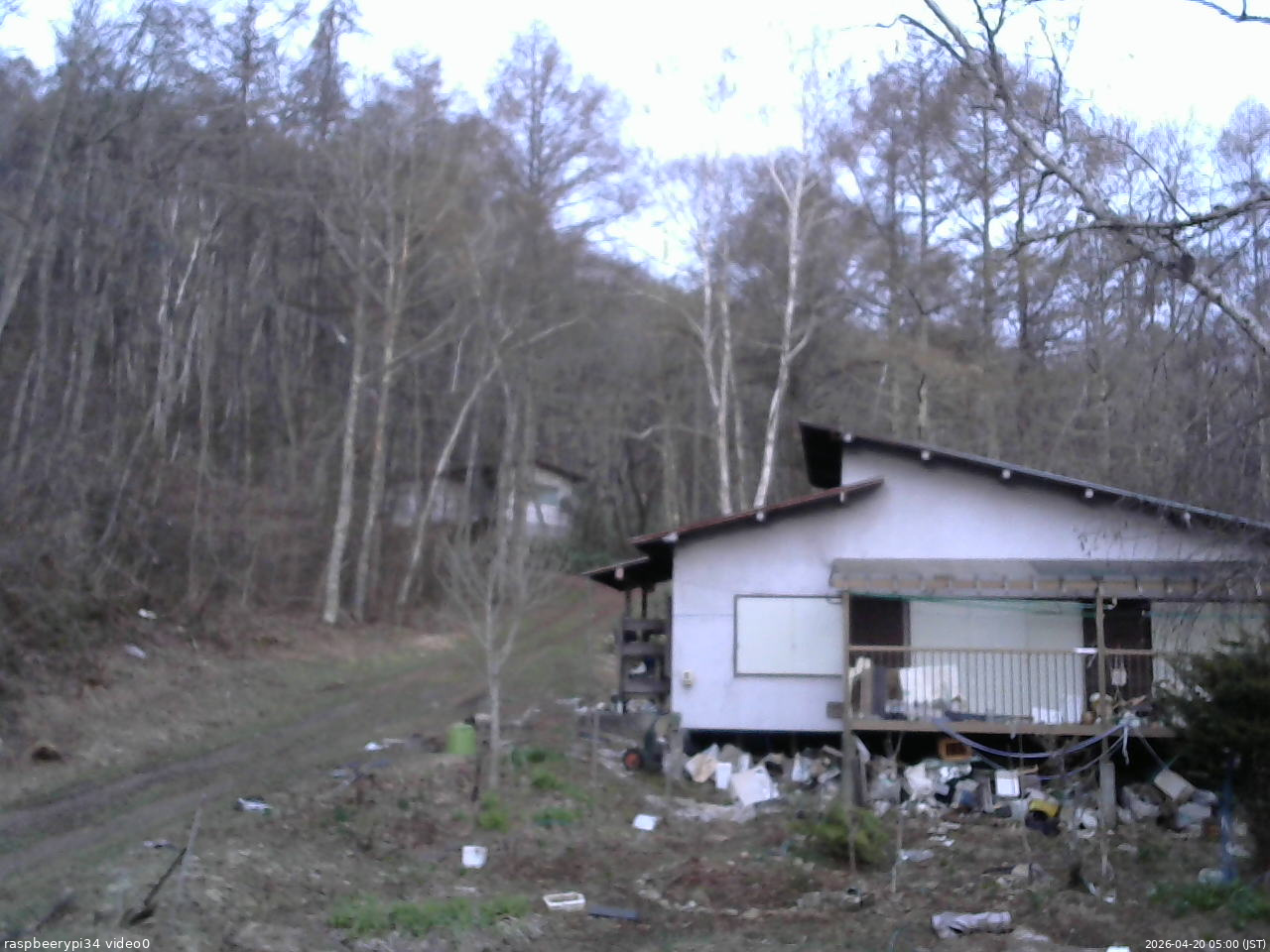 長野県菅平高原 ゆたか山荘 西側(坂上) 2026/04/20 05:00