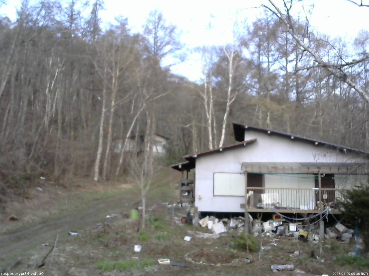長野県菅平高原 ゆたか山荘 西側(坂上) 2026/04/20 05:30