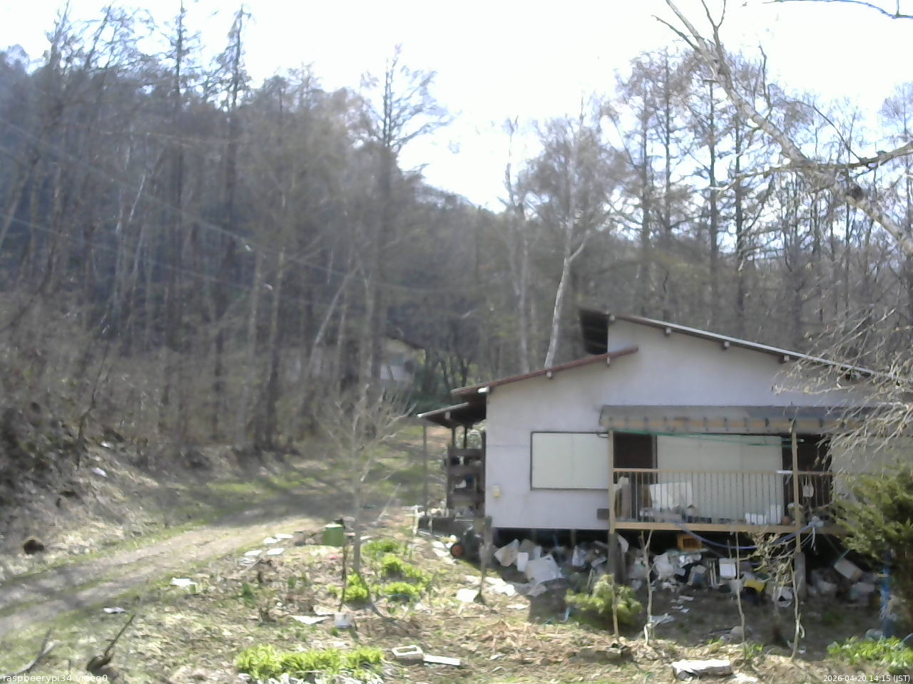 長野県菅平高原 ゆたか山荘 西側(坂上) 2026/04/20 14:15