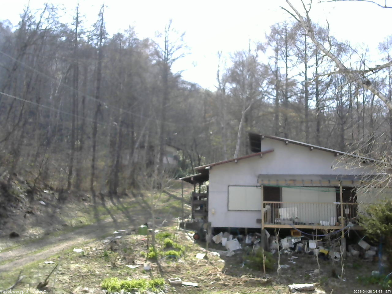 長野県菅平高原 ゆたか山荘 西側(坂上) 2026/04/20 14:45