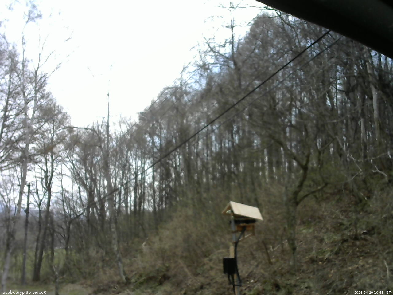 長野県菅平高原 ゆたか山荘 温度計 2026/04/20 10:45