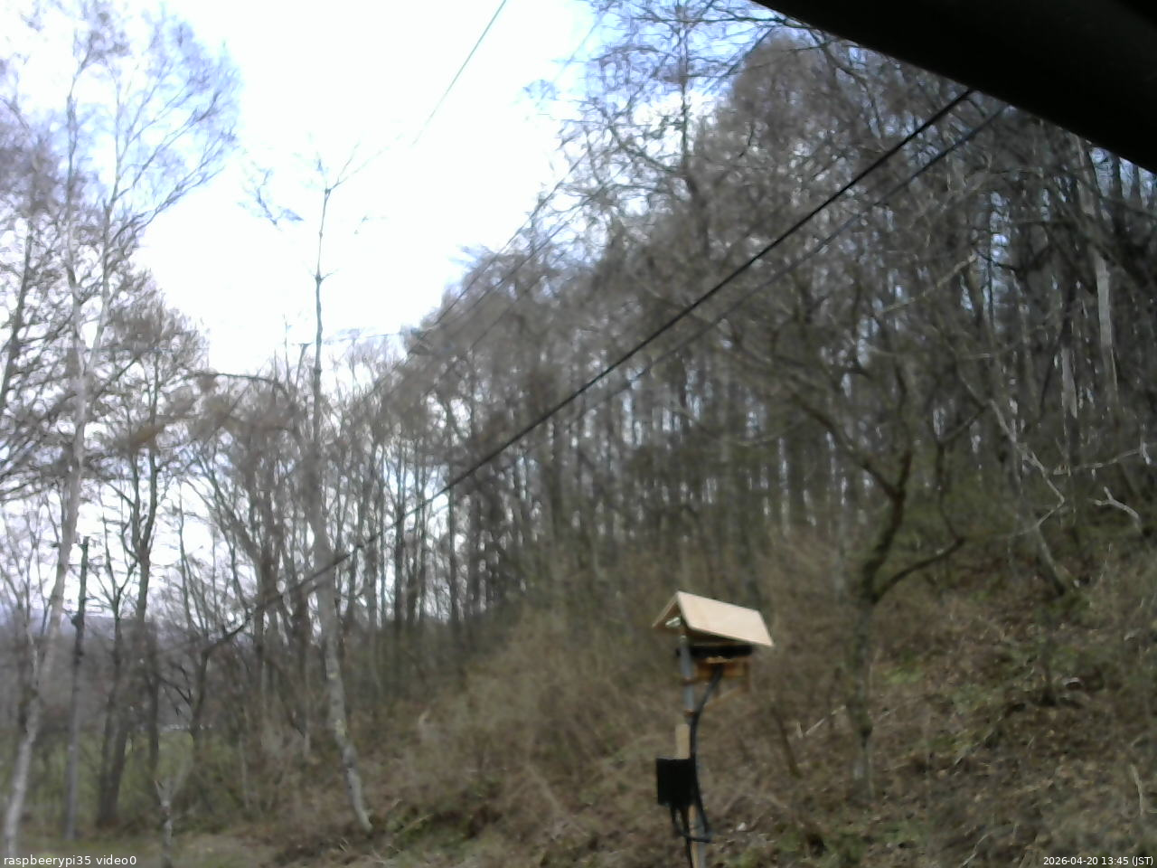 長野県菅平高原 ゆたか山荘 温度計 2026/04/20 13:45