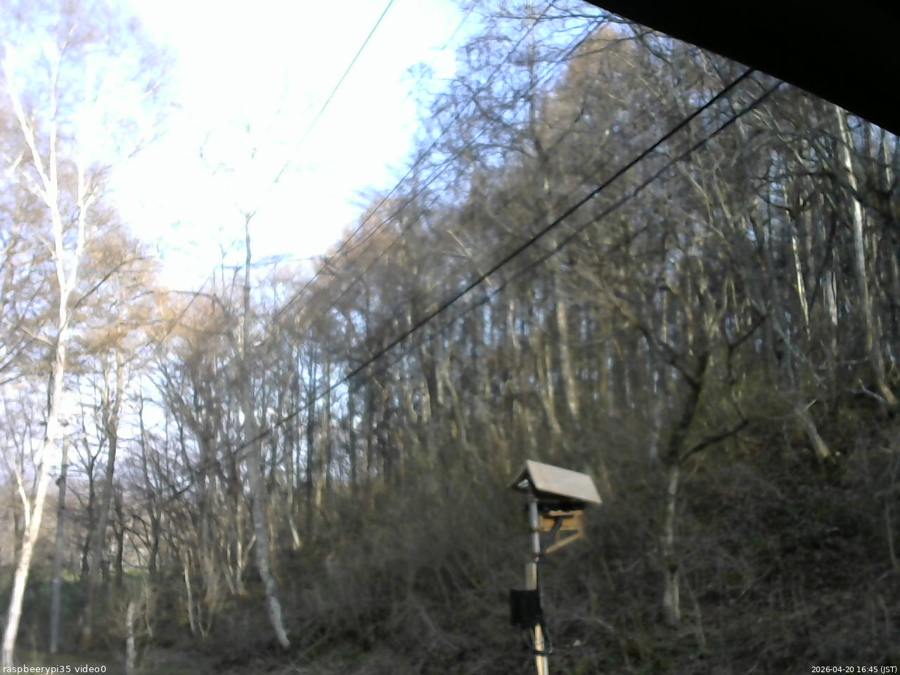 長野県菅平高原 ゆたか山荘 温度計 2026/04/20 16:45