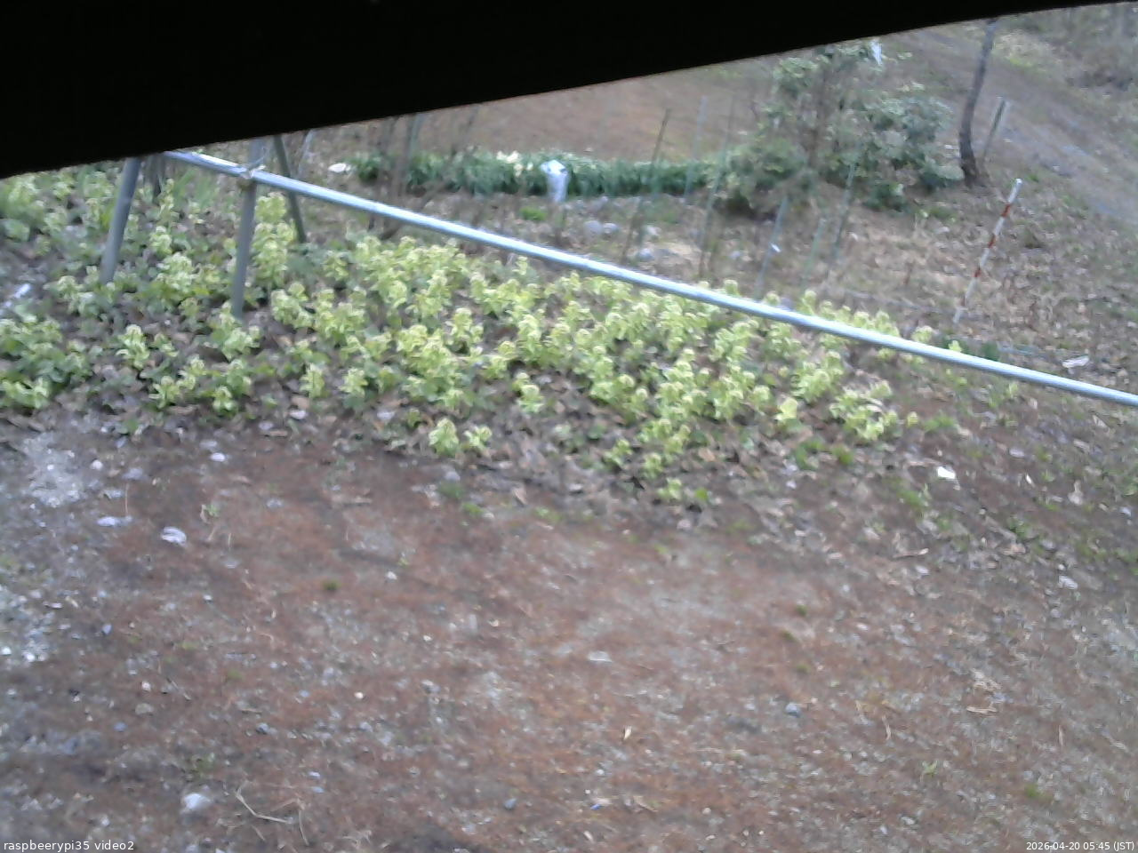 長野県菅平高原 ゆたか山荘 駐車場 2026/04/20 05:45