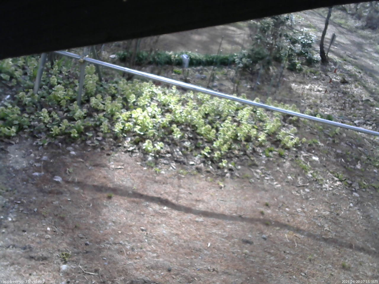 長野県菅平高原 ゆたか山荘 駐車場 2026/04/20 07:15