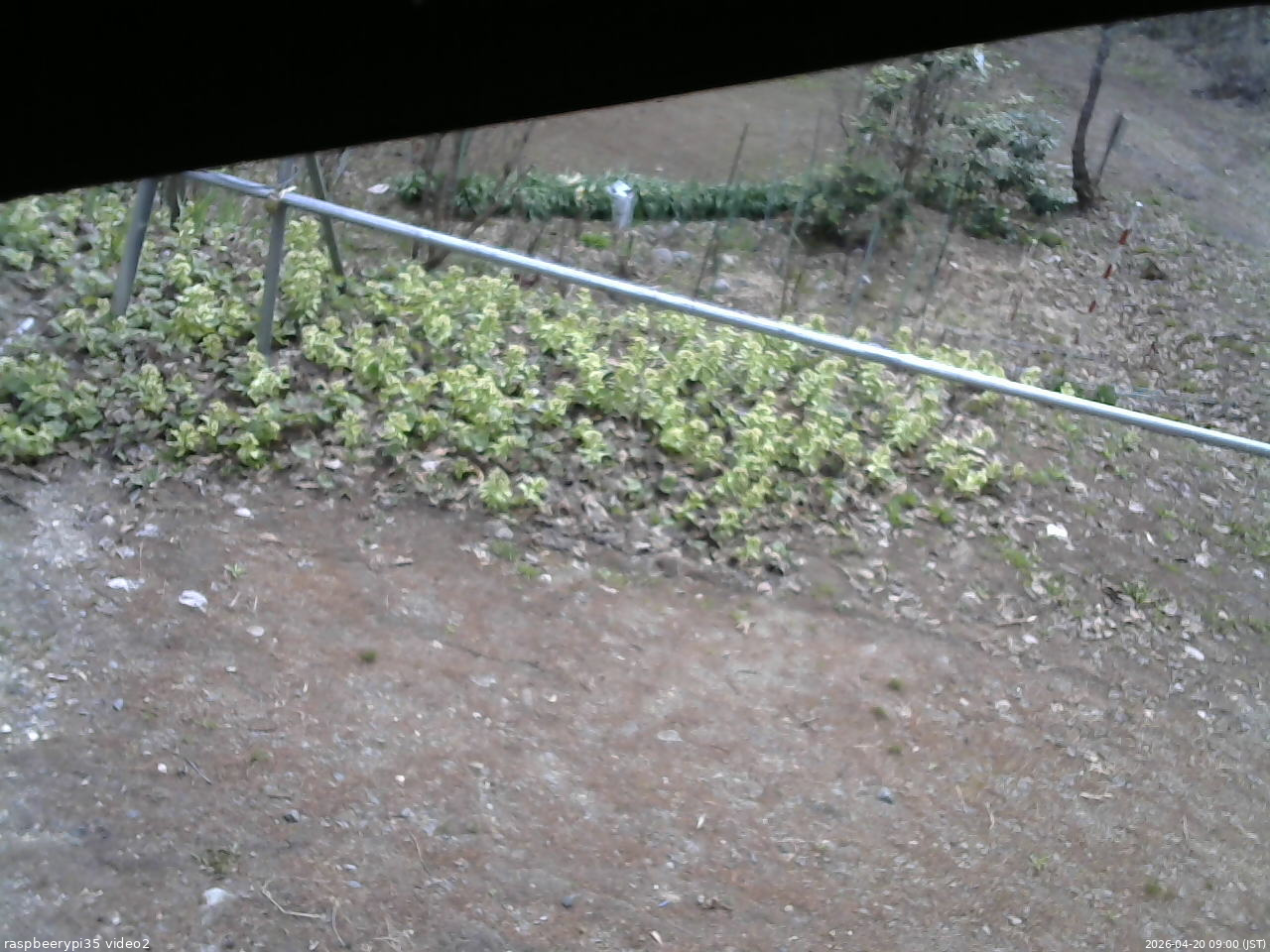 長野県菅平高原 ゆたか山荘 駐車場 2026/04/20 09:00