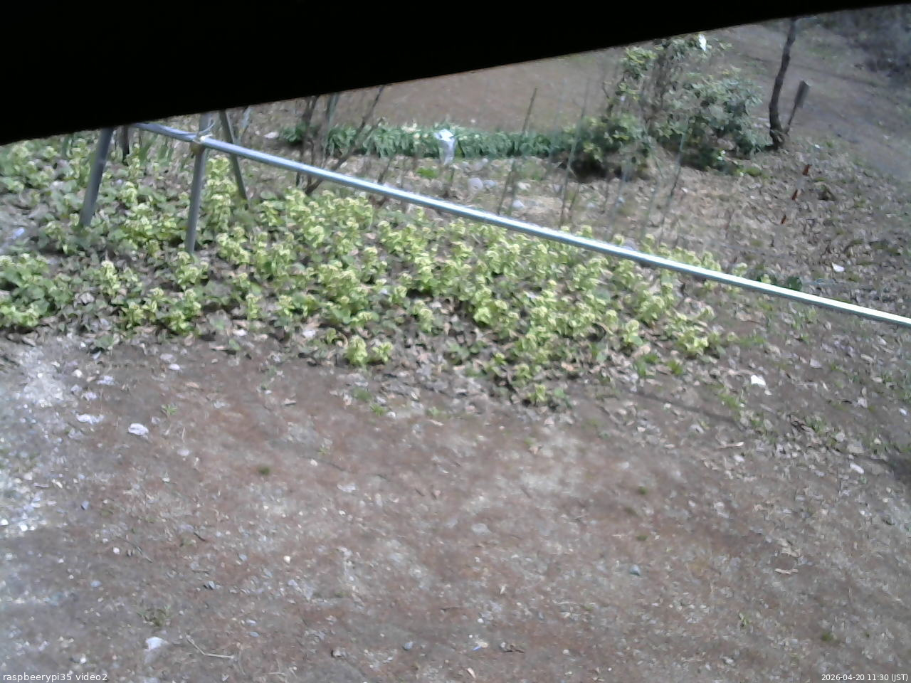 長野県菅平高原 ゆたか山荘 駐車場 2026/04/20 11:30