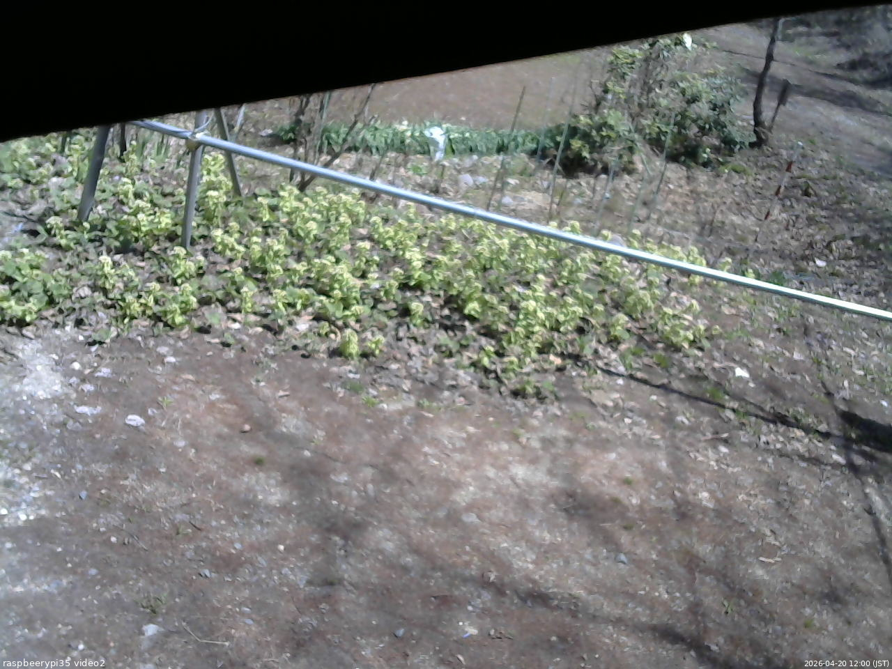 長野県菅平高原 ゆたか山荘 駐車場 2026/04/20 12:00