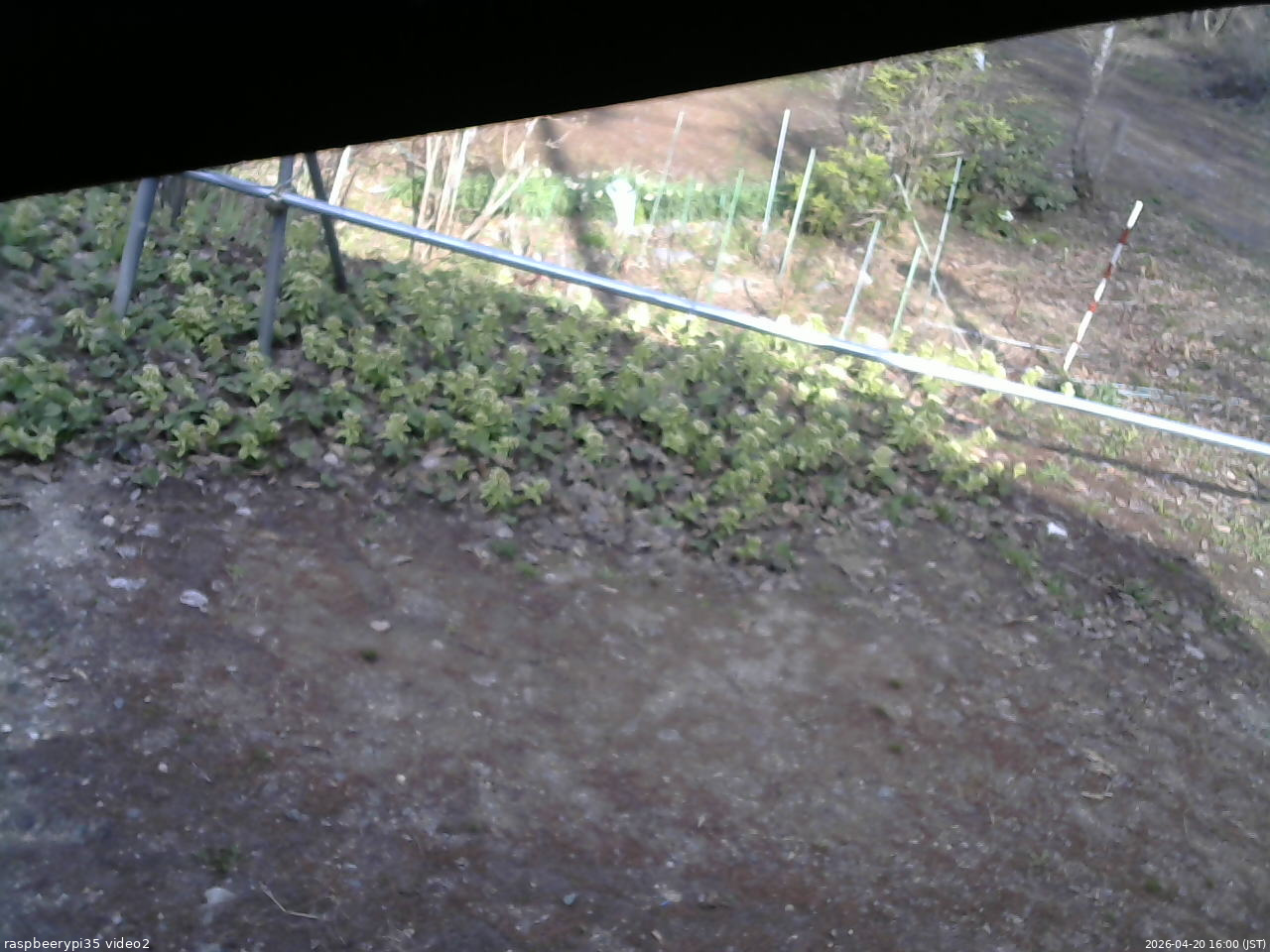 長野県菅平高原 ゆたか山荘 駐車場 2026/04/20 16:00