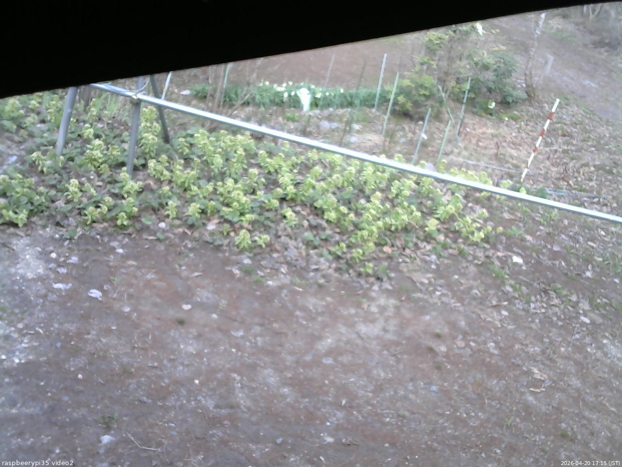 長野県菅平高原 ゆたか山荘 駐車場 2026/04/20 17:15