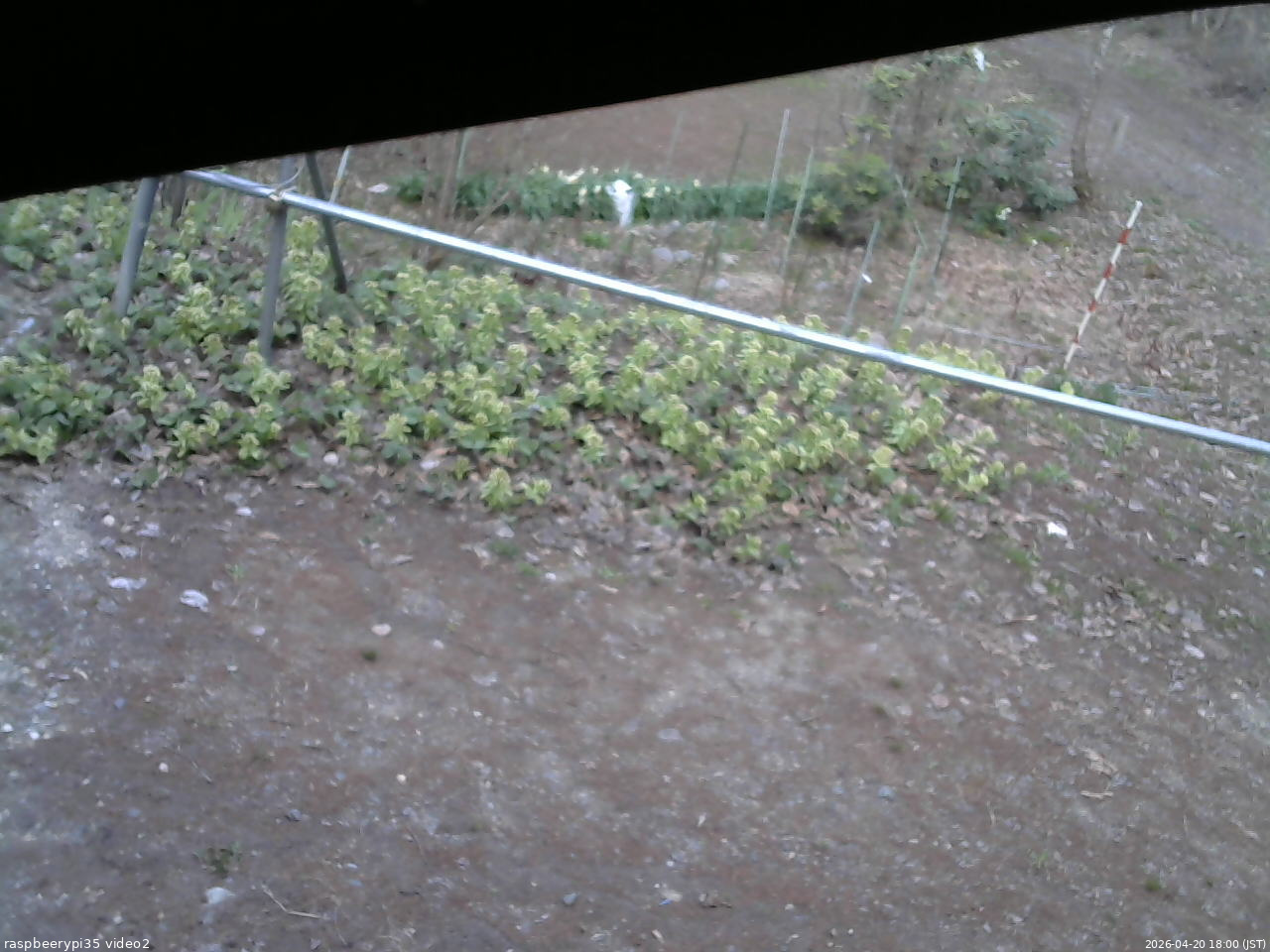 長野県菅平高原 ゆたか山荘 駐車場 2026/04/20 18:00