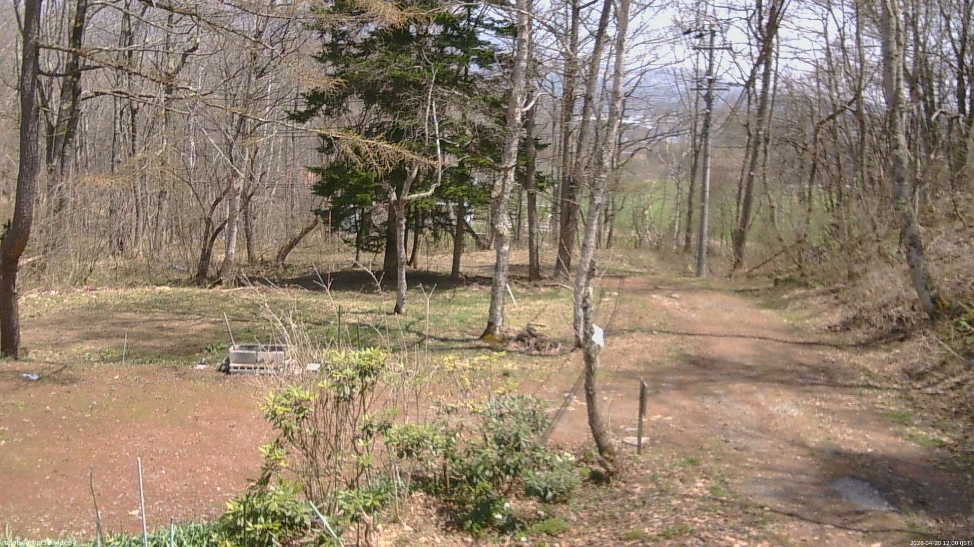 長野県菅平高原 ゆたか山荘 坂上 2026/04/20 12:00