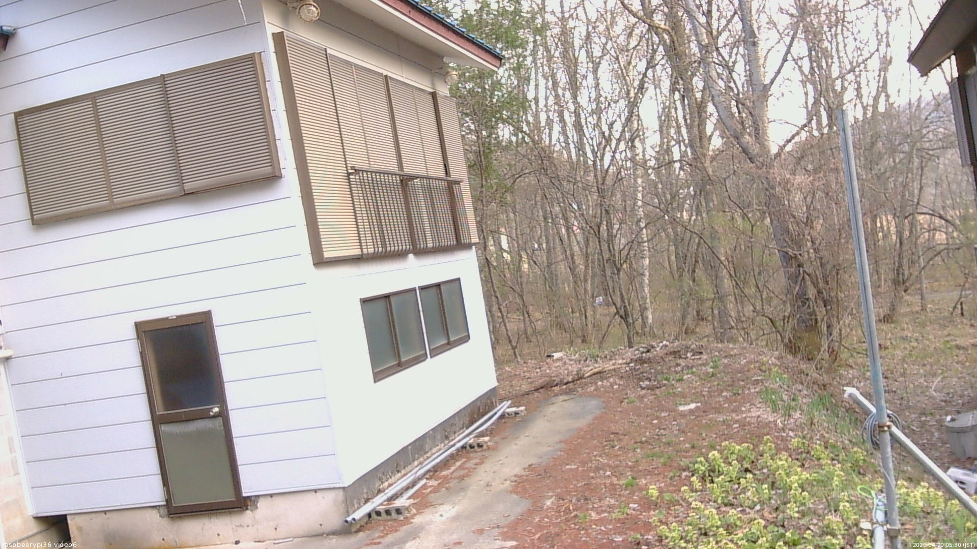長野県菅平高原 ゆたか山荘 坂下 2026/04/20 05:30