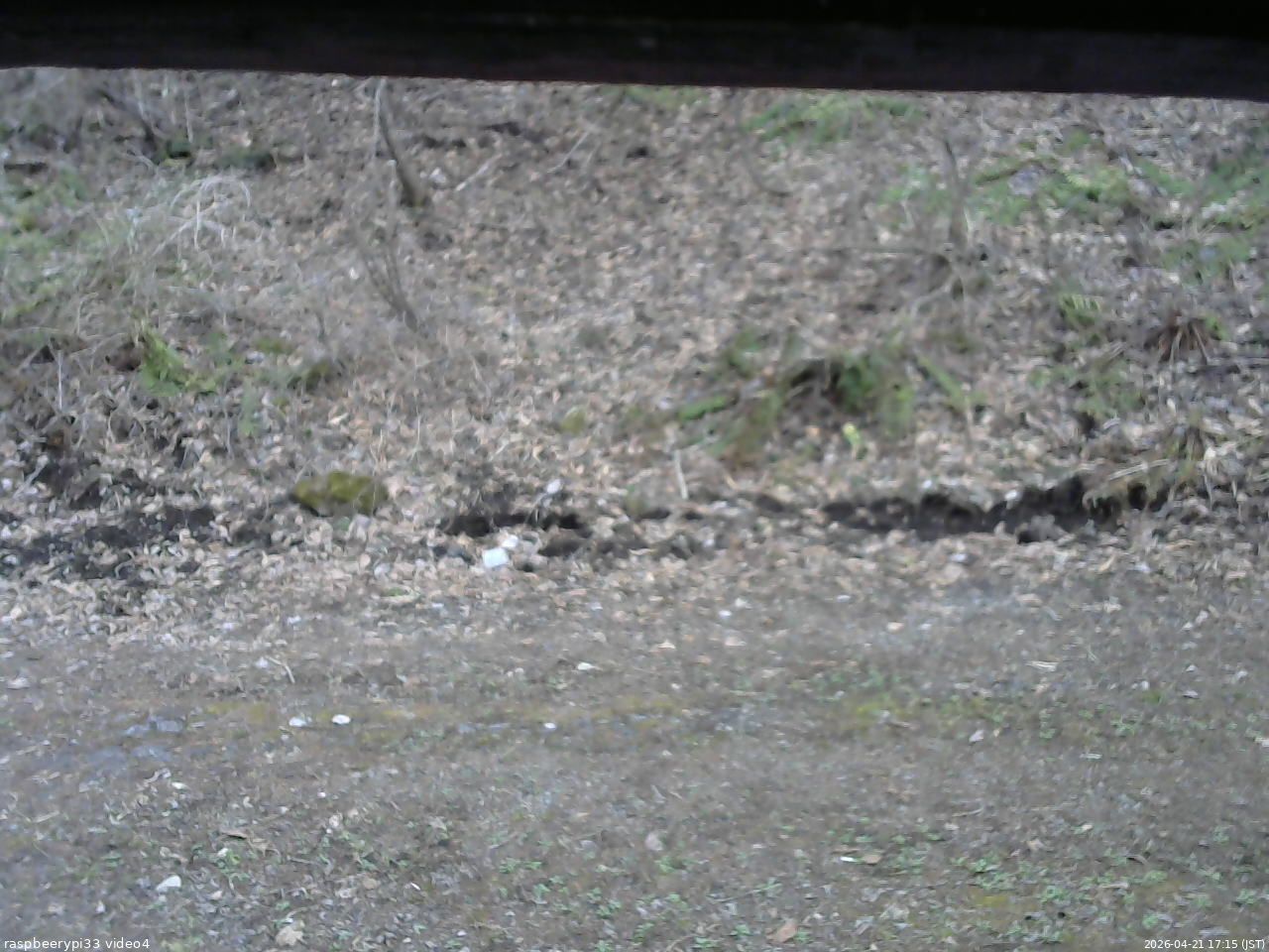 長野県菅平高原 ゆたか山荘 東側(坂下) 2026/04/21 17:15