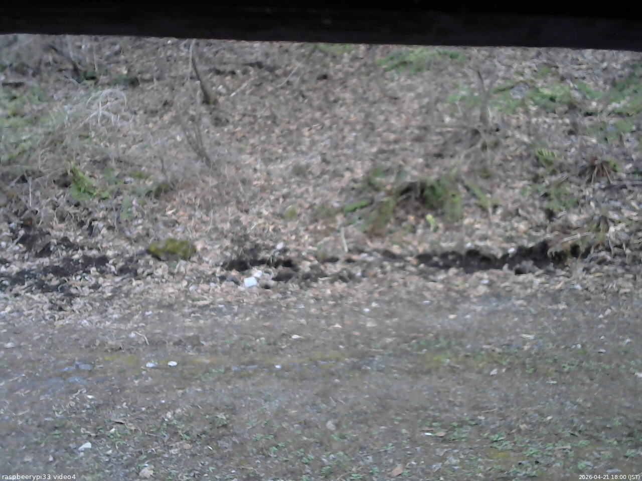 長野県菅平高原 ゆたか山荘 東側(坂下) 2026/04/21 18:00