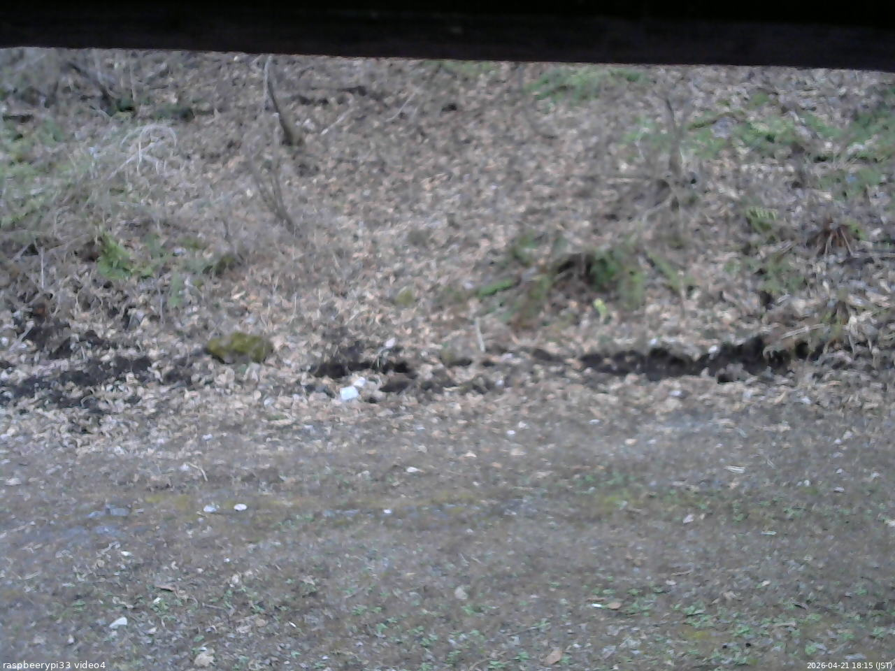 長野県菅平高原 ゆたか山荘 東側(坂下) 2026/04/21 18:15