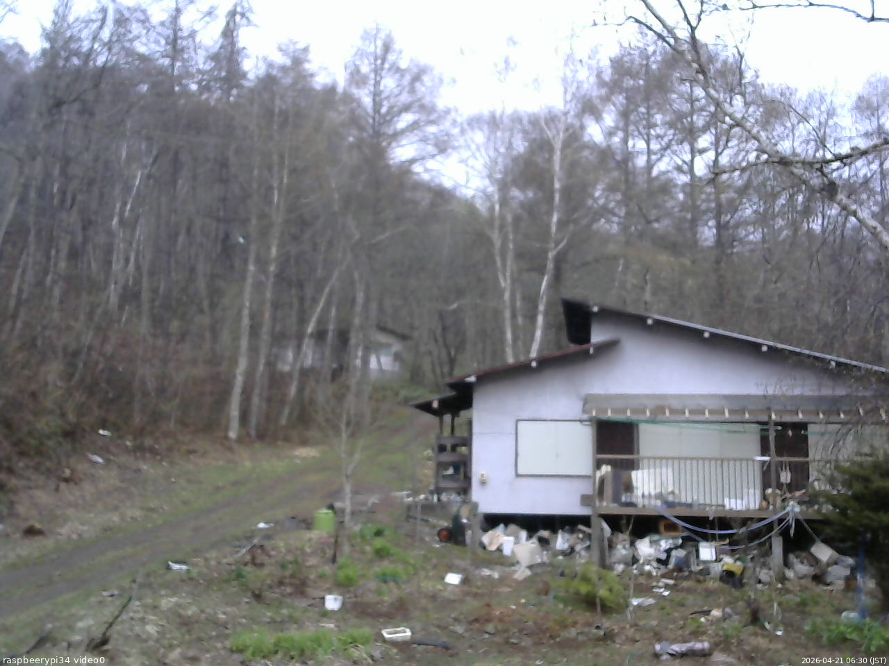 長野県菅平高原 ゆたか山荘 西側(坂上) 2026/04/21 06:30