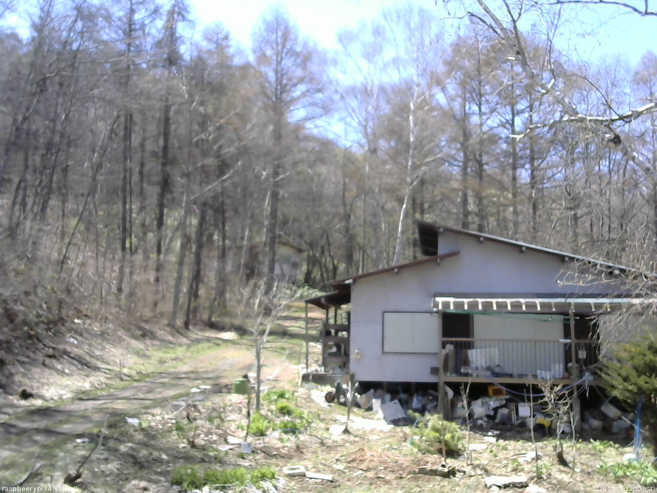 長野県菅平高原 ゆたか山荘 西側(坂上) 2026/04/21 12:30