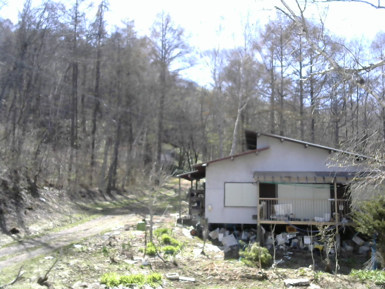 長野県菅平高原 ゆたか山荘 西側(坂上) 2026/04/21 14:00