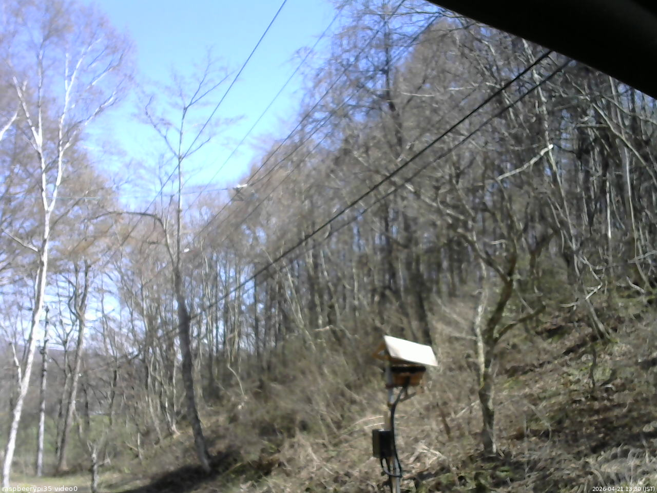 長野県菅平高原 ゆたか山荘 温度計 2026/04/21 13:30