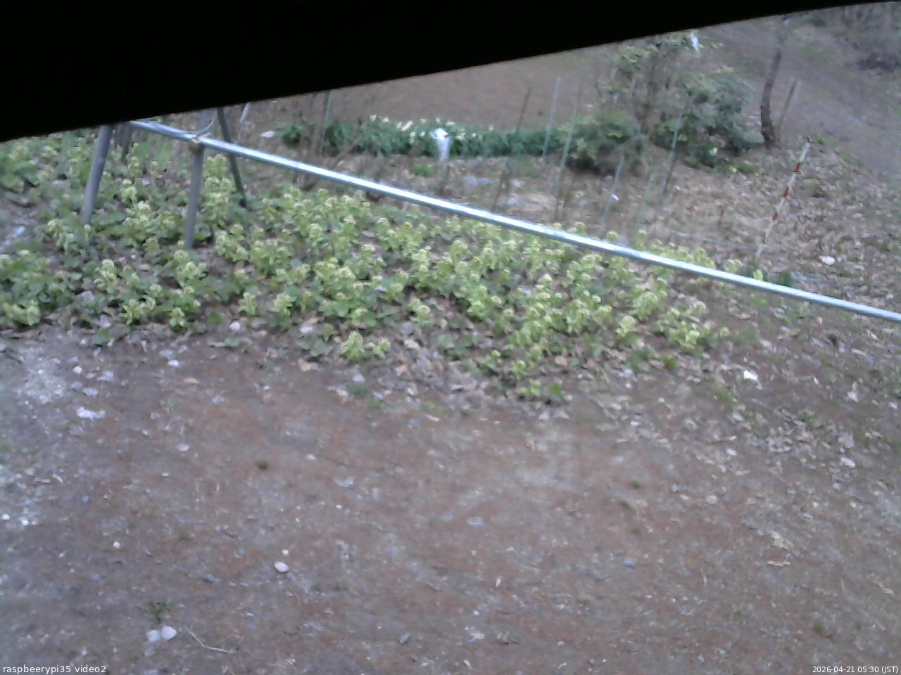 長野県菅平高原 ゆたか山荘 駐車場 2026/04/21 05:30