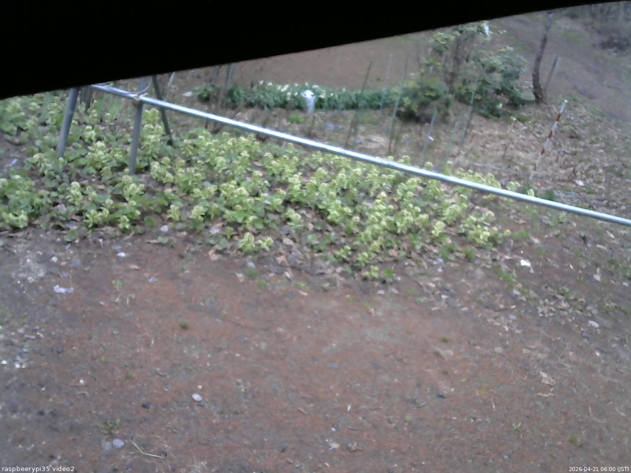 長野県菅平高原 ゆたか山荘 駐車場 2026/04/21 06:00